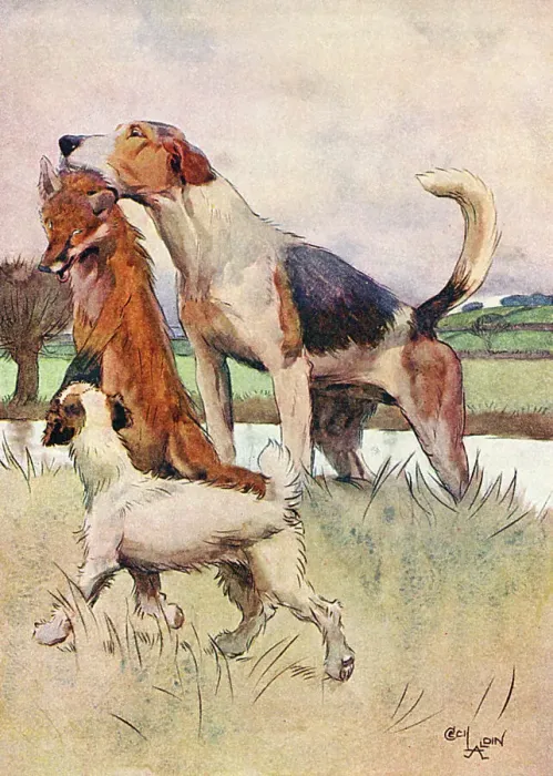 Framed Print : Cecil Aldin Book Books Illustration Fox Foxes Framed Print : Cecil Aldin Book Books Illustration Fox Foxes