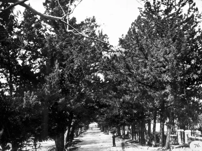 Framed Print : Cedar Avenue, Hamilton, Bermuda 1873 Framed Print : Cedar Avenue, Hamilton, Bermuda 1873