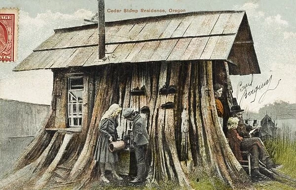 Cedar Stump Residence, Oregon