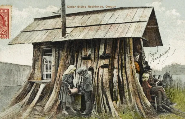 Framed Print : Cedar Stump Residence, Oregon Framed Print : Cedar Stump Residence, Oregon