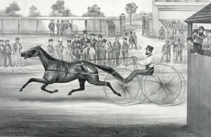 Framed Print : Celebrated trotting horse John Stewart as he appeared on Framed Print : Celebrated trotting horse John Stewart as he appeared on