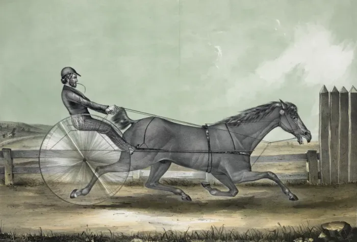 Framed Print : The celebrated trotting horse trustee as he appeared in his Framed Print : The celebrated trotting horse trustee as he appeared in his