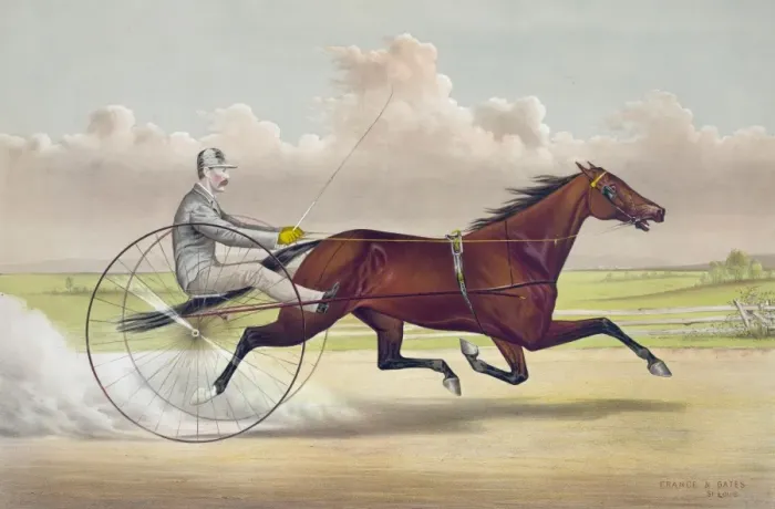 Framed Print : The celebrated trotting mare Hattie Woodward, by Aberdeen, d Framed Print : The celebrated trotting mare Hattie Woodward, by Aberdeen, d
