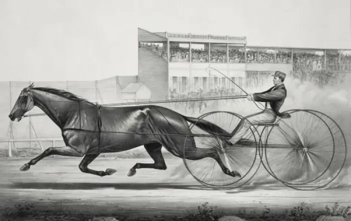Framed Print : Celebrated trotting mare Lady Thorne, formerly Maid of Ashla Framed Print : Celebrated trotting mare Lady Thorne, formerly Maid of Ashla