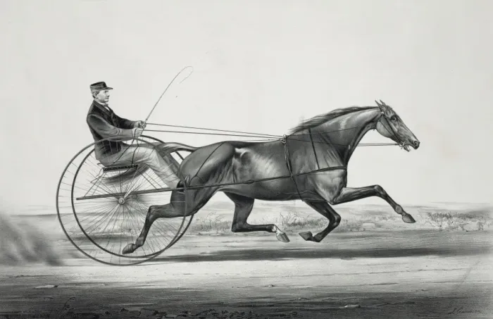 Framed Print : The celebrated trotting mare Widow McChree, formerly called Framed Print : The celebrated trotting mare Widow McChree, formerly called