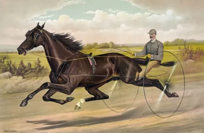 Framed Print : The celebrated trotting Stallion Alexander by Ben Patchen, d Framed Print : The celebrated trotting Stallion Alexander by Ben Patchen, d