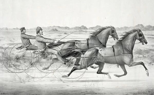 The celebrated trotting Stallions Ethan Allen and George M