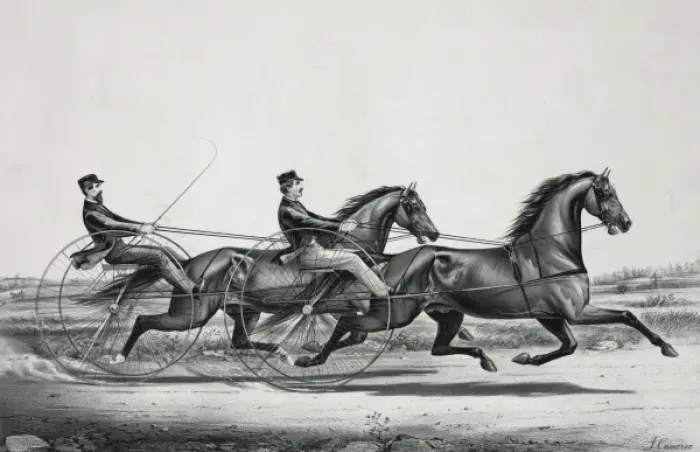 Framed Print : The celebrated trotting Stallions Young Woful and Abdallah C Framed Print : The celebrated trotting Stallions Young Woful and Abdallah C