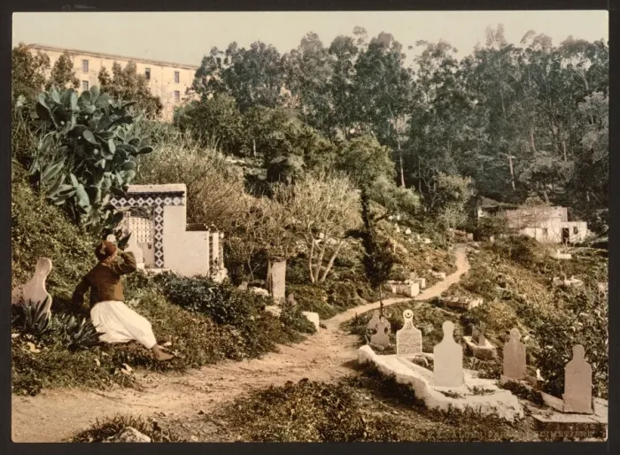 Framed Print : The cemetery, Algiers, Algeria Framed Print : The cemetery, Algiers, Algeria