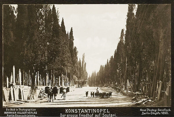 Cemetery at Scutari, Constantinople