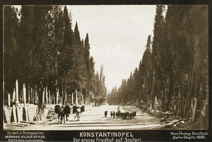 Framed Print : Cemetery at Scutari, Constantinople Framed Print : Cemetery at Scutari, Constantinople