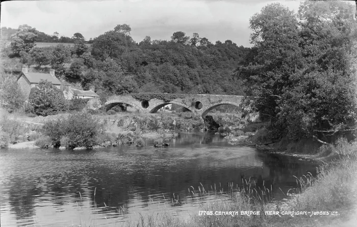 Framed Print : Cenarth Bridge Framed Print : Cenarth Bridge