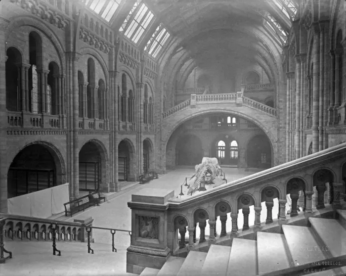 Framed Print : Central Hall, the Natural History Museum. 1882 Framed Print : Central Hall, the Natural History Museum. 1882