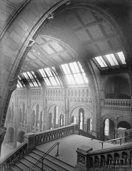 Framed Print : Central Hall, the Natural History Museum. 1882 Framed Print : Central Hall, the Natural History Museum. 1882