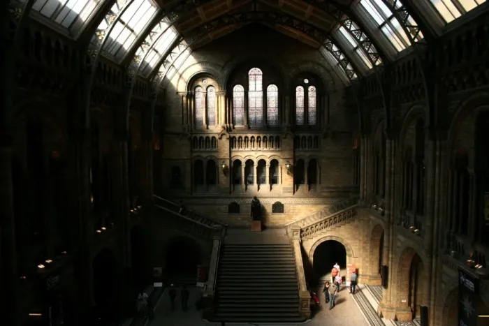 Framed Print : The Central Hall, The Natural History Museum Framed Print : The Central Hall, The Natural History Museum