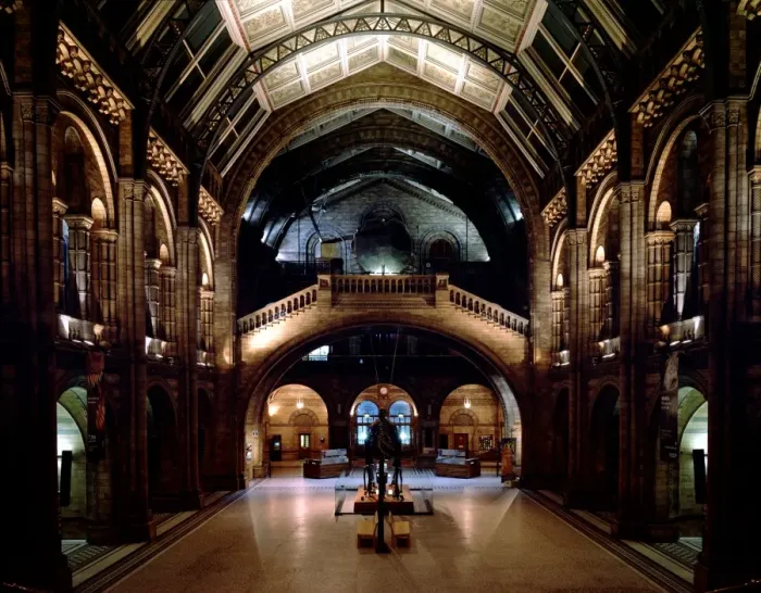 Framed Print : The Central Hall of the Natural History Museum, London Framed Print : The Central Hall of the Natural History Museum, London