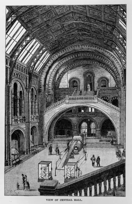 Framed Print : Central Hall of the Natural History Museum, London Framed Print : Central Hall of the Natural History Museum, London