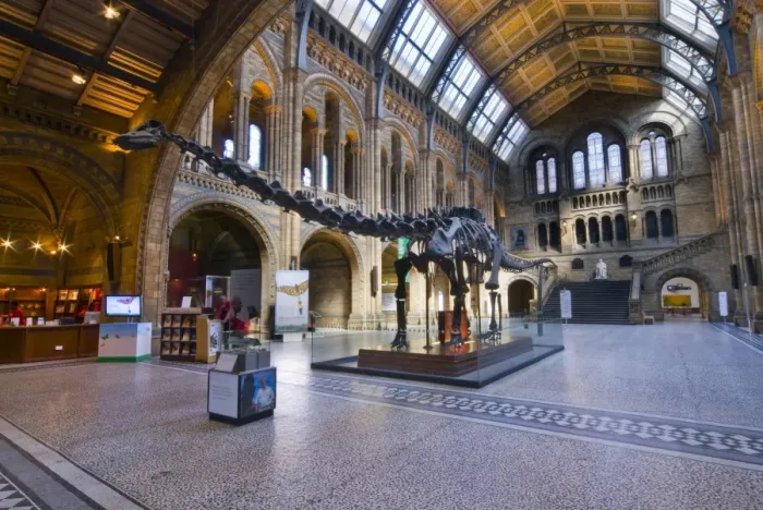 Framed Print : The Central Hall of the Natural History Museum, London Framed Print : The Central Hall of the Natural History Museum, London