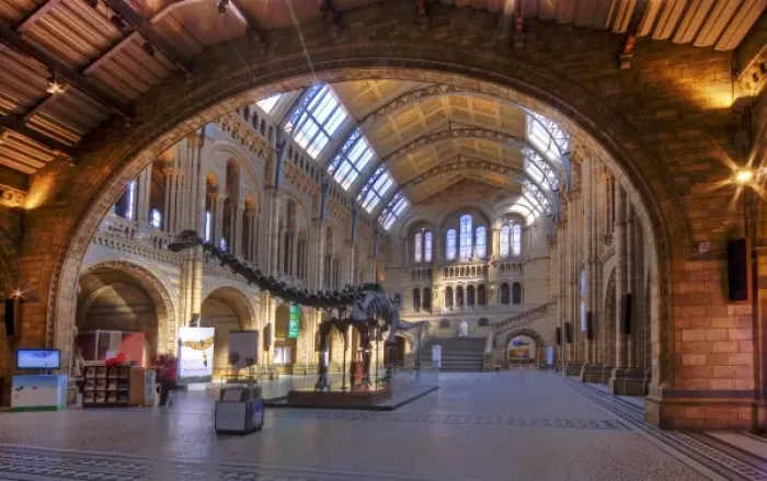 Framed Print : The Central Hall of the Natural History Museum, London Framed Print : The Central Hall of the Natural History Museum, London