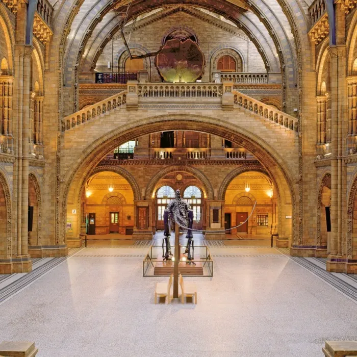 Framed Print : The Central Hall of The Natural History Museum, London Framed Print : The Central Hall of The Natural History Museum, London