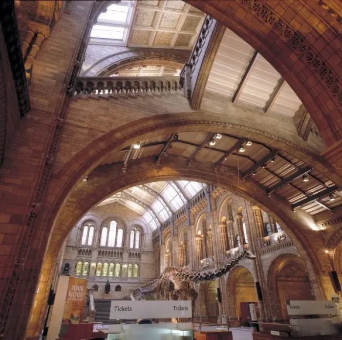 Framed Print : The Central Hall of the Natural History Museum, London Framed Print : The Central Hall of the Natural History Museum, London