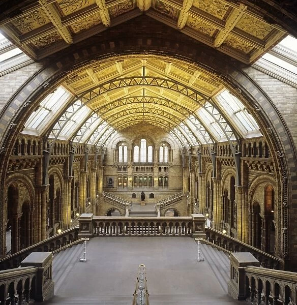 The Central Hall of the Natural History Museum, London