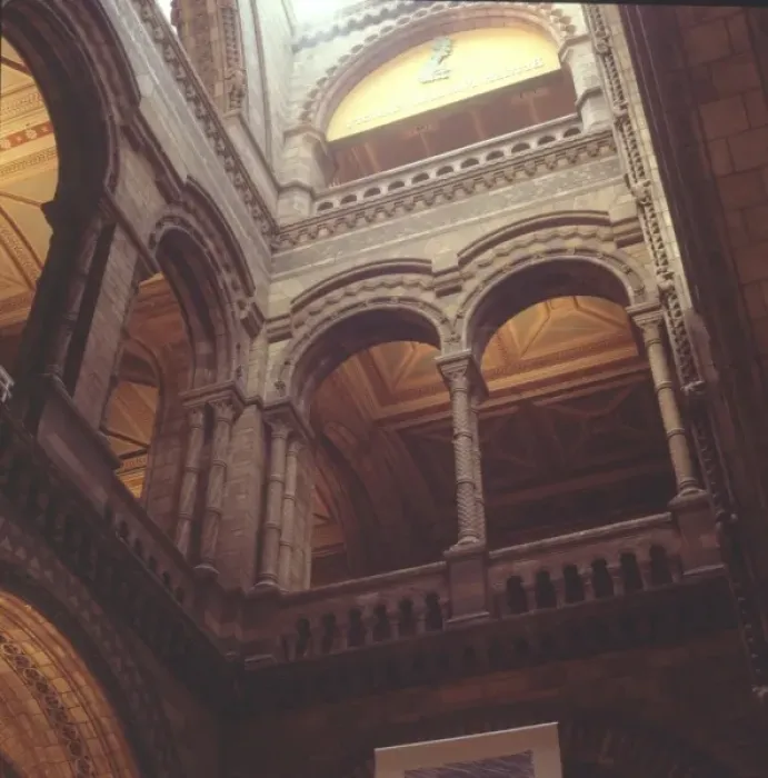 Framed Print : The Central Hall at The Natural History Museum, London Framed Print : The Central Hall at The Natural History Museum, London