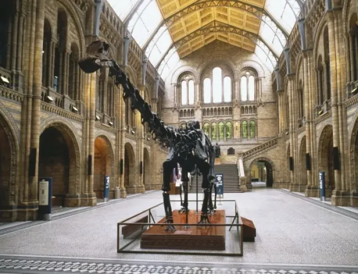 Framed Print : The Central Hall of the Natural History Museum, London Framed Print : The Central Hall of the Natural History Museum, London