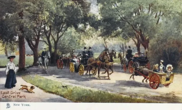 Framed Print : Central Park, New York Framed Print : Central Park, New York