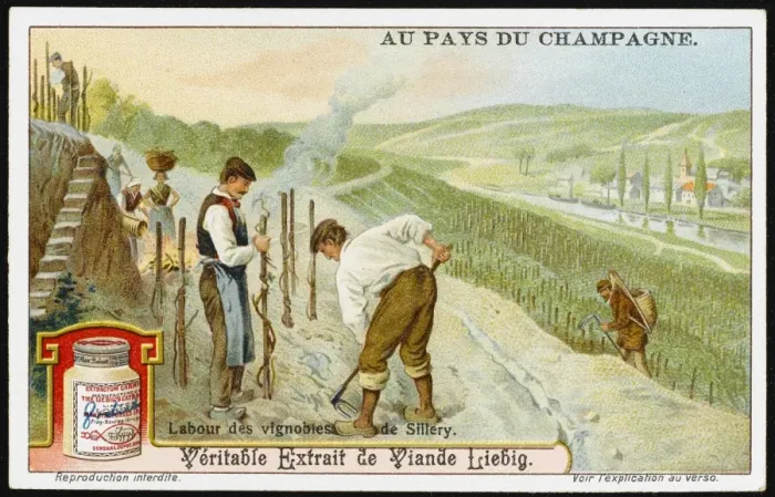 Framed Print : Champagne Production Framed Print : Champagne Production