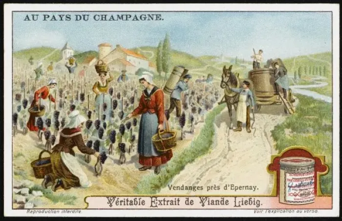 Framed Print : Champagne Production Framed Print : Champagne Production