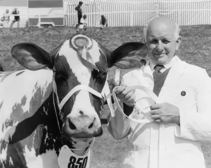 Framed Print : Champion cow at the Royal Cornwall Show Framed Print : Champion cow at the Royal Cornwall Show