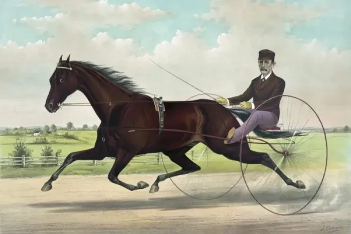 Framed Print : The champion pacer Johnston, by Bashaw Golddust. Named for a Framed Print : The champion pacer Johnston, by Bashaw Golddust. Named for a