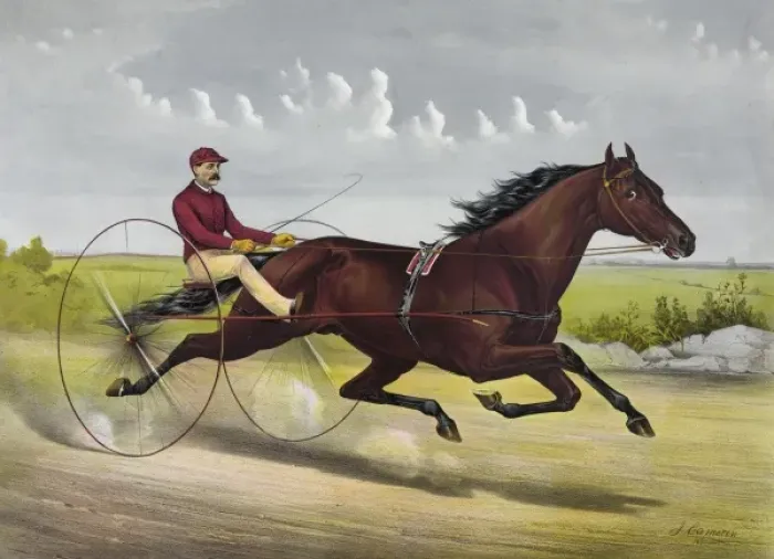 Framed Print : The champion trotting Stallion Nelson, by Young Rolfe, dam G Framed Print : The champion trotting Stallion Nelson, by Young Rolfe, dam G