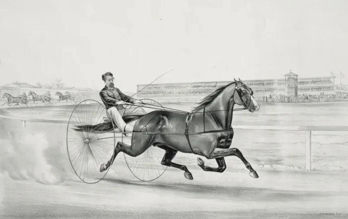 Framed Print : Champion trotting stallion Smuggler owned by H. S. Russell, M Framed Print : Champion trotting stallion Smuggler owned by H. S. Russell, M