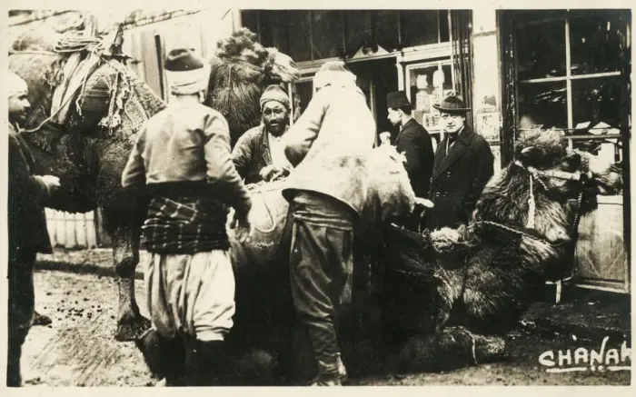 Framed Print : Chanakkale (Chanak, formerly Dardanellia ) on the Turkish Dardanelles coast (Gallipoli Peninsula) - Loading a Camel Train. Date: 1923
