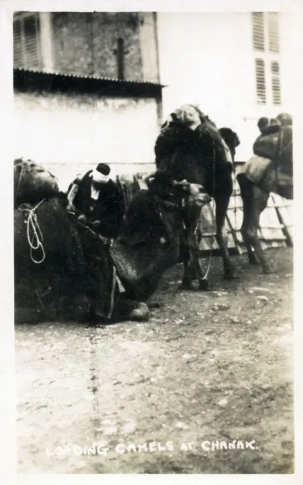 Framed Print : Chanakkale (Chanak, formerly Dardanellia ) on the Turkish Dardanelles coast (Gallipoli Peninsula) - Loading a Camel Train. Date: 1923 Framed Print : Chanakkale (Chanak, formerly Dardanellia ) on the Turkish Dardanelles coast (Gallipoli Peninsula) - Loading a Camel Train. Date: 1923