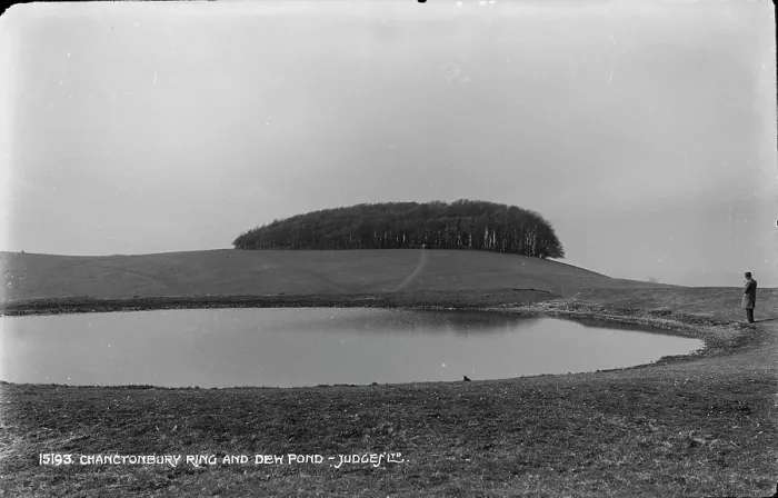 Framed Print : Chanctonbury Ring and Dew Pond Framed Print : Chanctonbury Ring and Dew Pond
