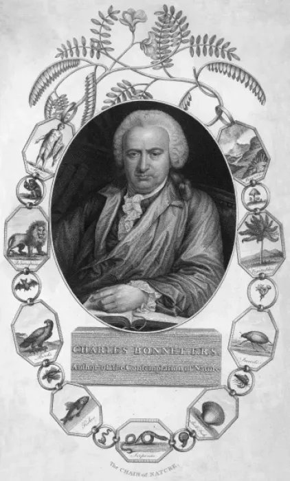 Framed Print : Charles Bonnet / Border Framed Print : Charles Bonnet / Border