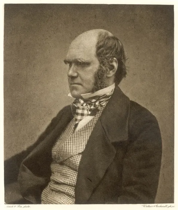 Framed Print : Charles Darwin Framed Print : Charles Darwin