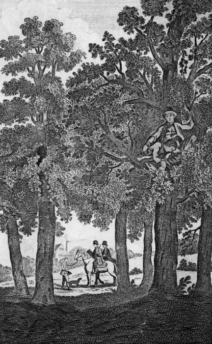 Framed Print : Charles II at Boscobel Framed Print : Charles II at Boscobel