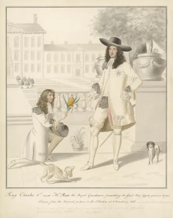 Framed Print : Charles II Pineapple Framed Print : Charles II Pineapple