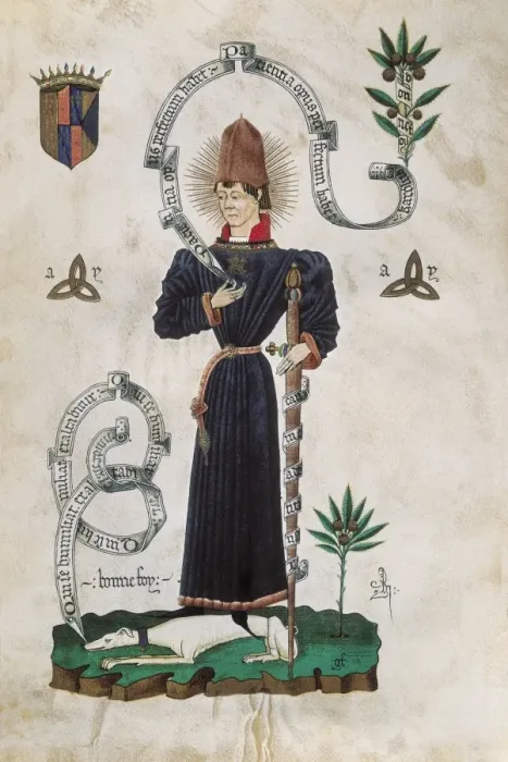 Framed Print : CHARLES IV, prince of Viana (1421-1461). Son Framed Print : CHARLES IV, prince of Viana (1421-1461). Son