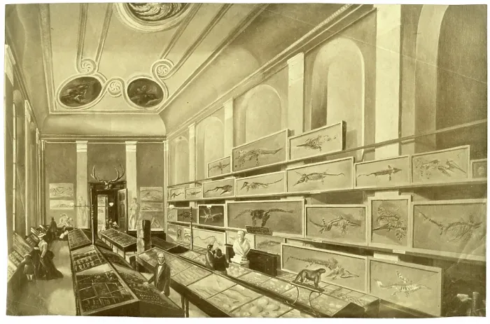 Framed Print : Charles Moore's Free Museum in Bath Framed Print : Charles Moore's Free Museum in Bath