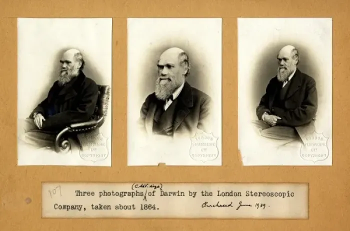 Framed Print : Charles Robert Darwin (1809-1881) Framed Print : Charles Robert Darwin (1809-1881)