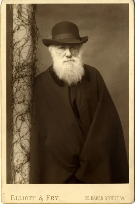 Framed Print : Charles Robert Darwin (1809-1881) Framed Print : Charles Robert Darwin (1809-1881)