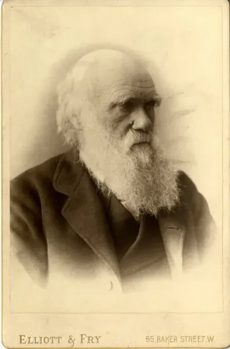 Framed Print : Charles Robert Darwin (1809-1881) Framed Print : Charles Robert Darwin (1809-1881)