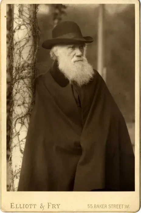 Framed Print : Charles Robert Darwin (1809-1881) Framed Print : Charles Robert Darwin (1809-1881)
