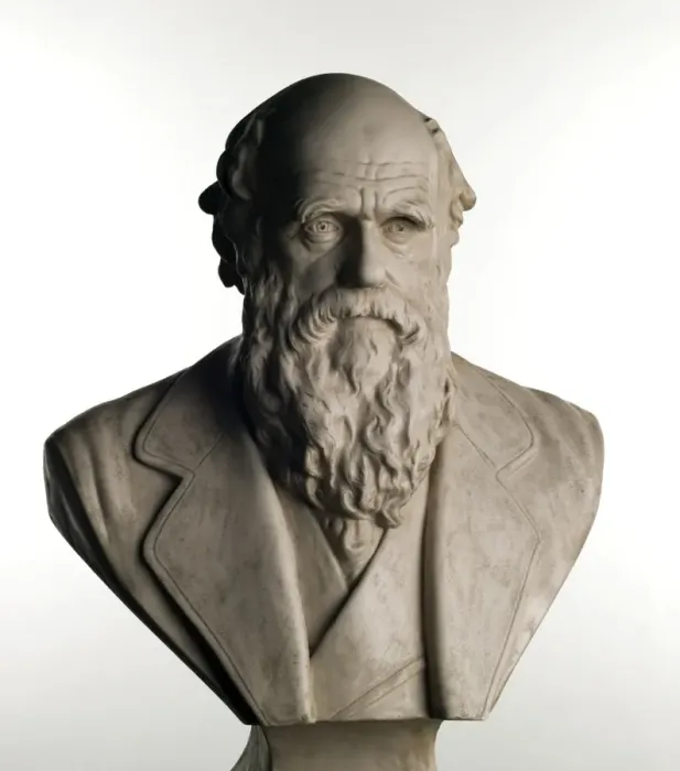 Framed Print : Charles Robert Darwin (1809-1881) Framed Print : Charles Robert Darwin (1809-1881)