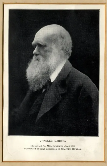 Framed Print : Charles Robert Darwin (1809-1881) Framed Print : Charles Robert Darwin (1809-1881)